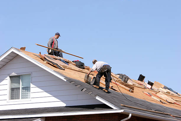 Best Metal Roofing Installation  in Melrose, MN